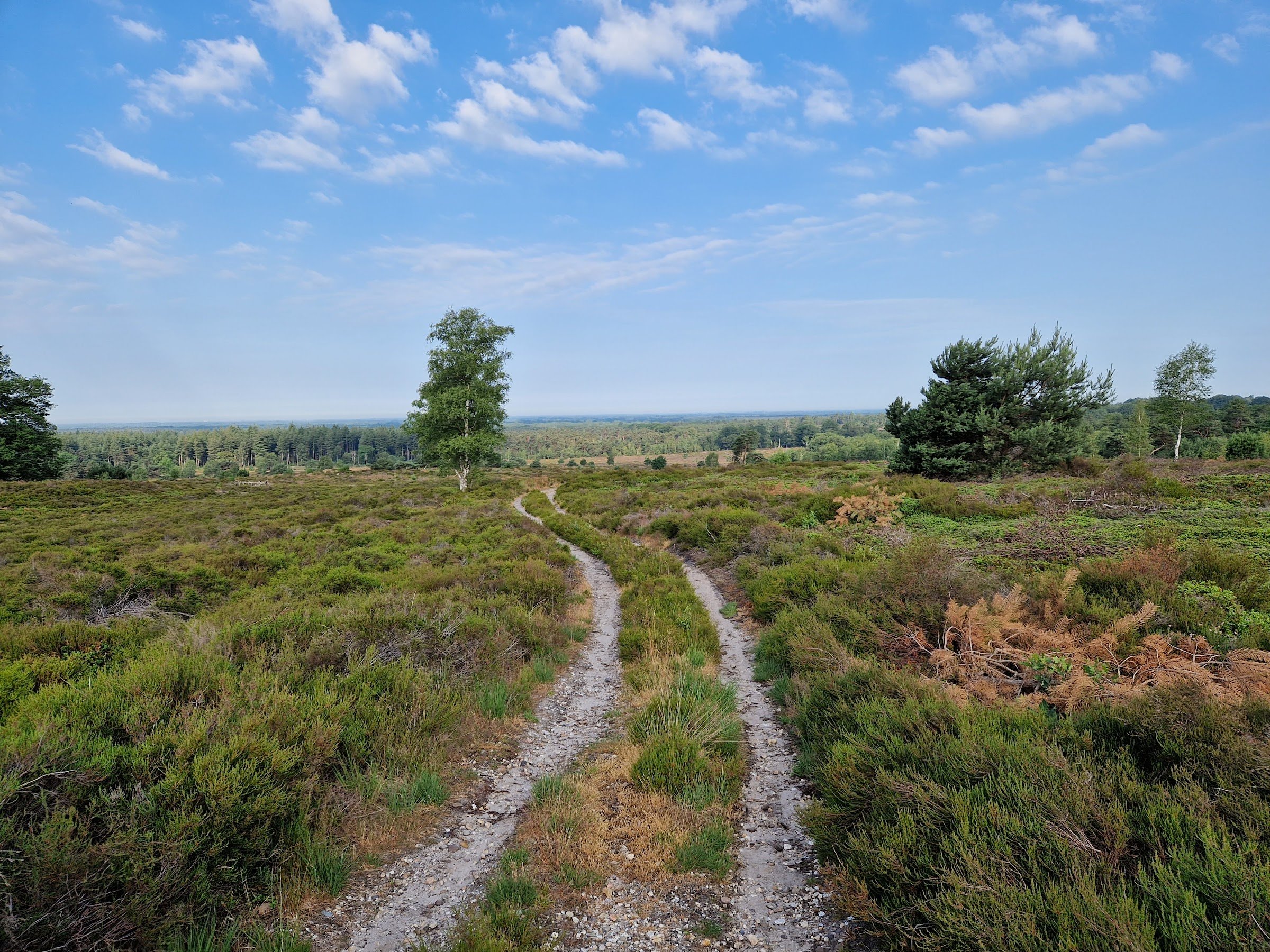 Sallandse Heuvelrug National Park